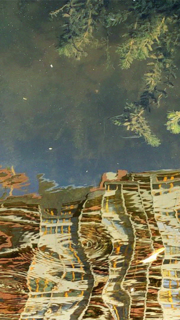 Der Fluss Matinee und Buchvorstellung THEATER AN DER GLOCKSEE